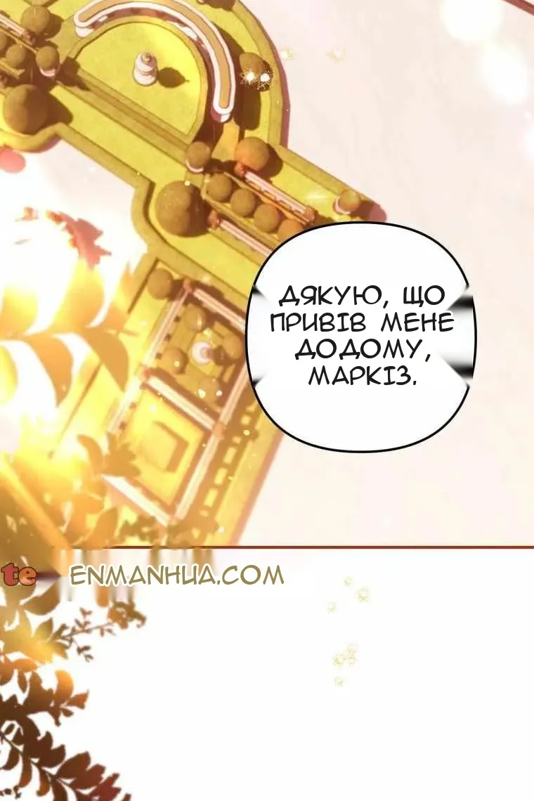 Сторінка 38