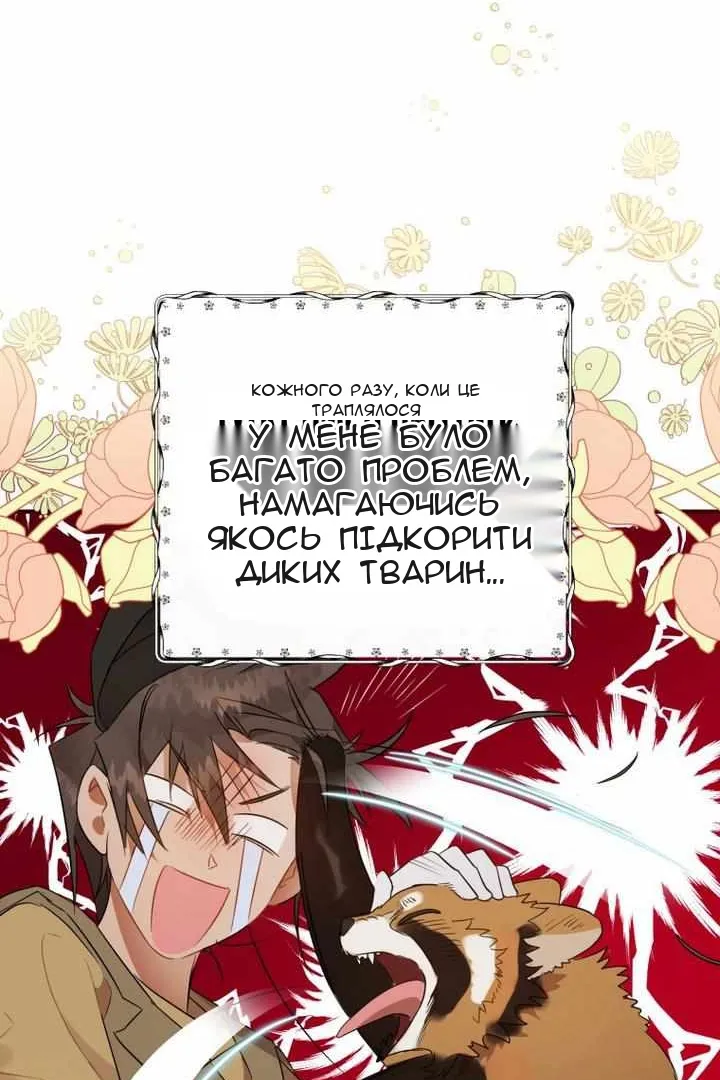 Сторінка 3