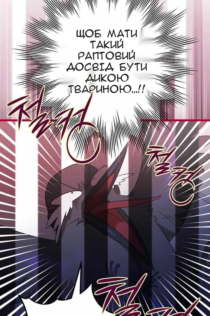 Сторінка 5
