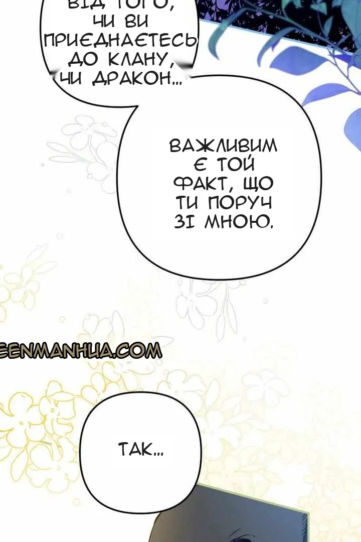 Сторінка 29