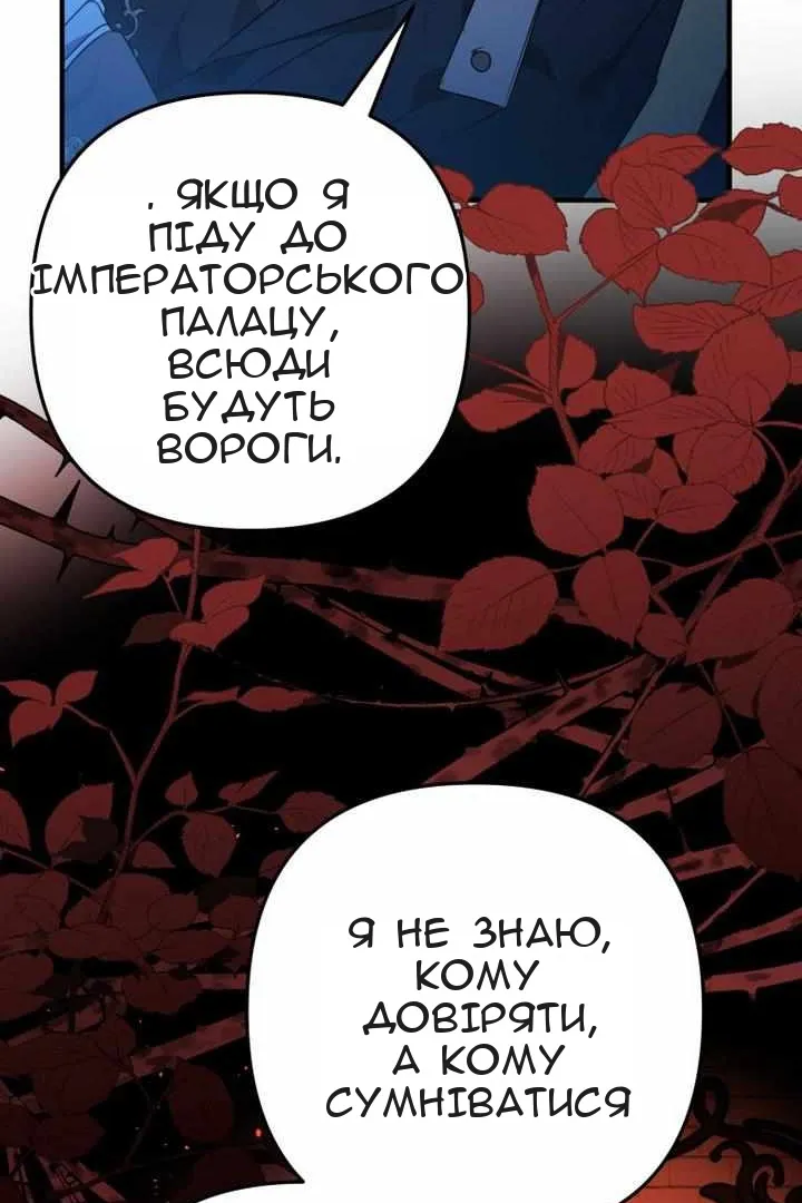 Сторінка 37