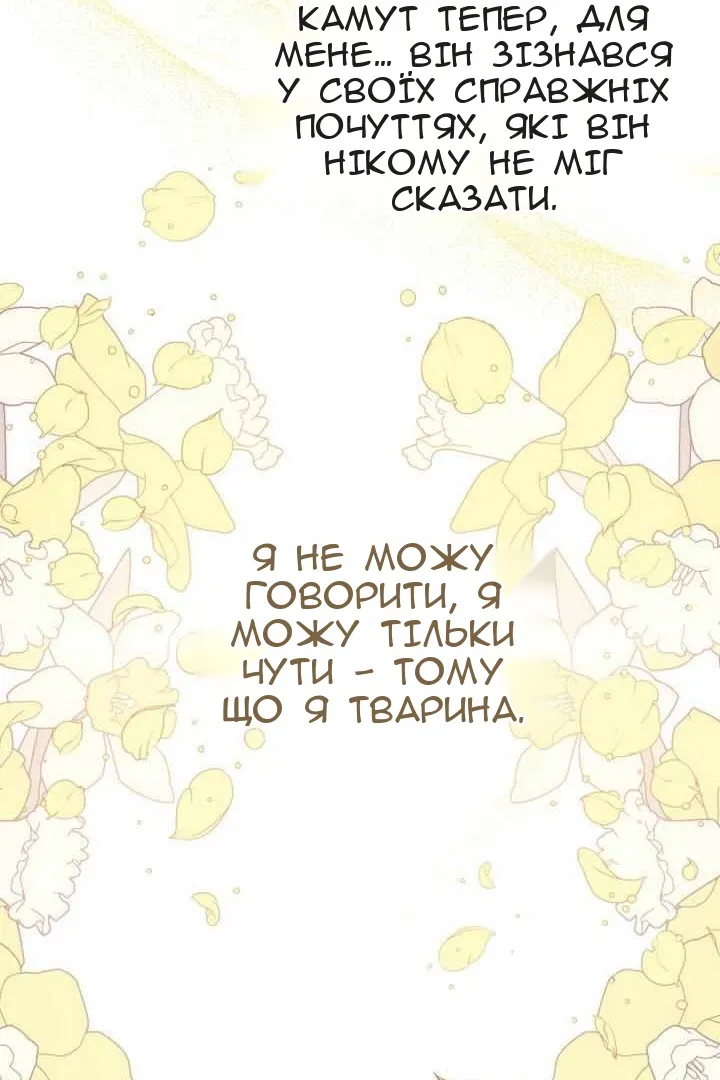 Сторінка 42