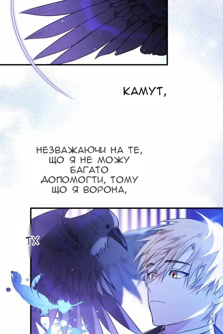 Сторінка 46