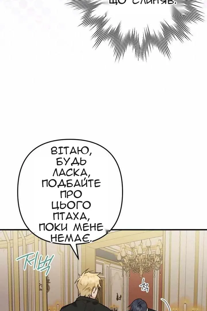 Сторінка 62