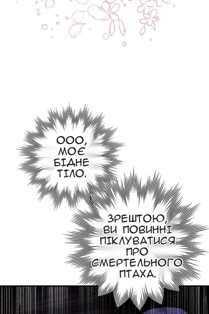 Сторінка 68