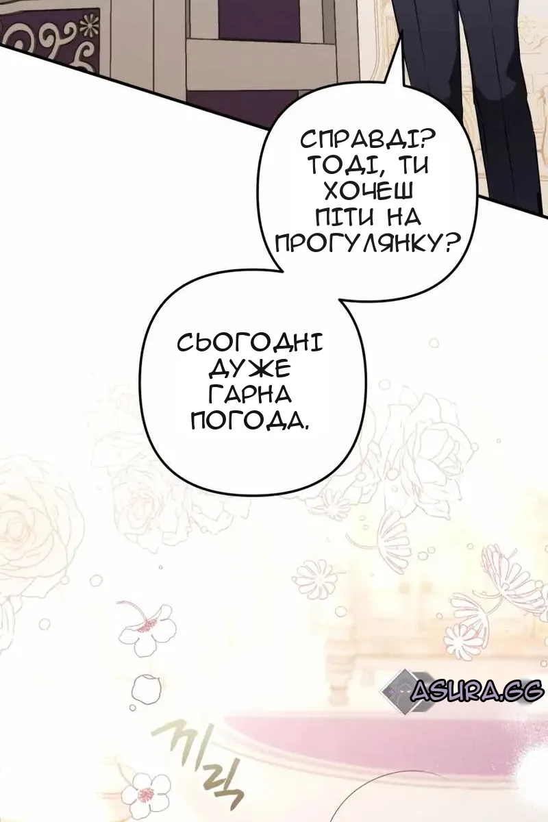 Сторінка 17