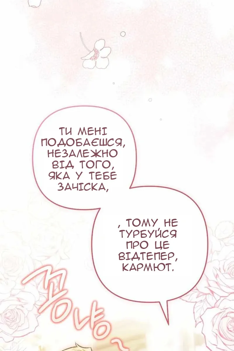 Сторінка 37