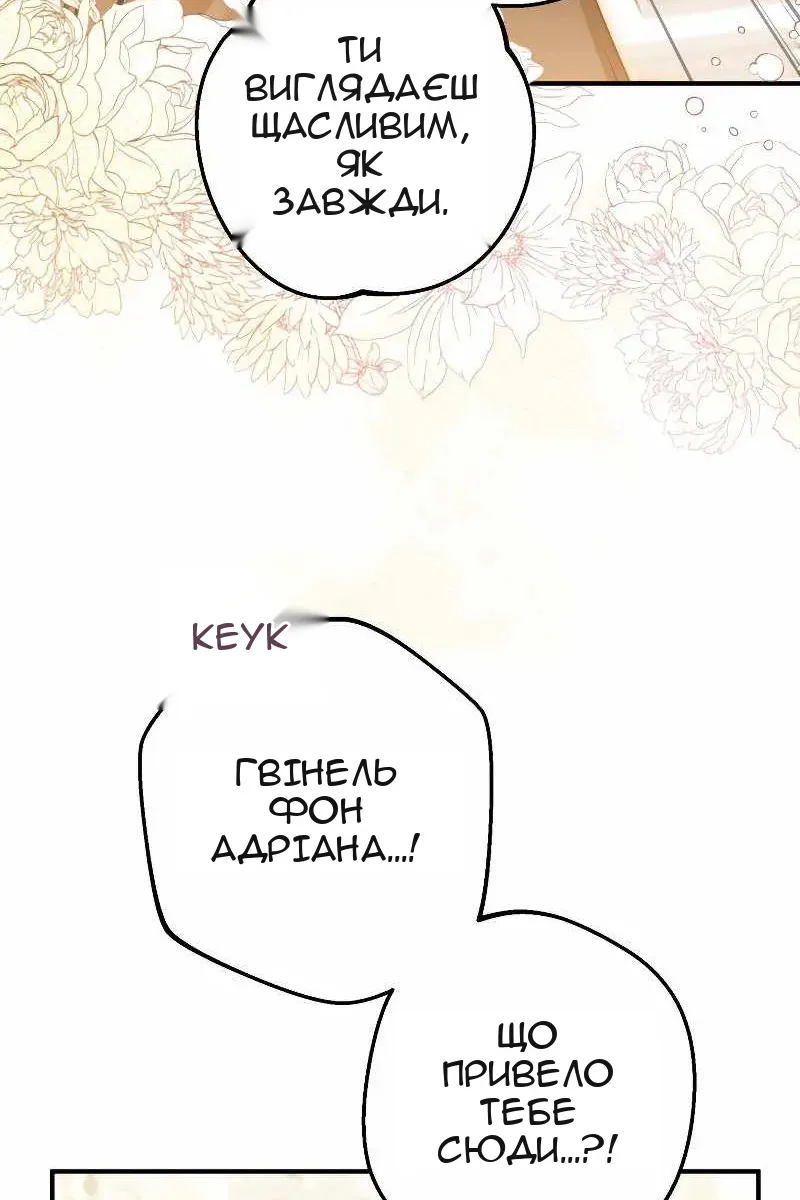 Сторінка 43