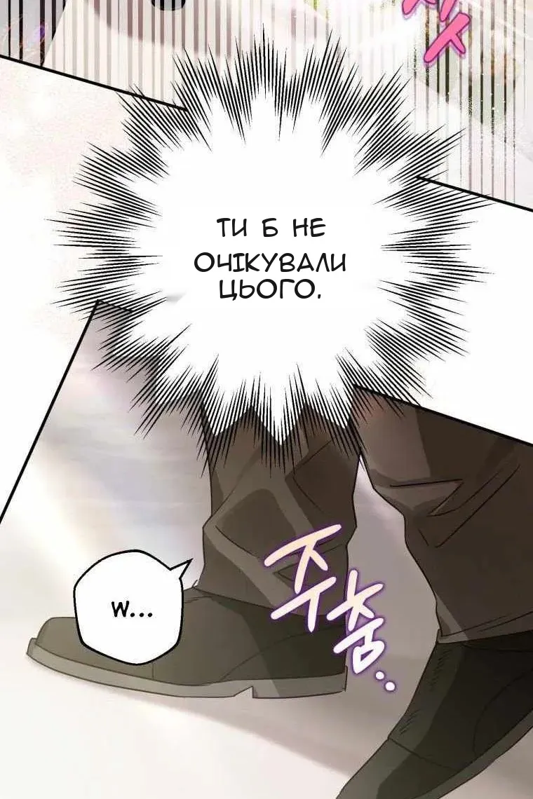 Сторінка 24