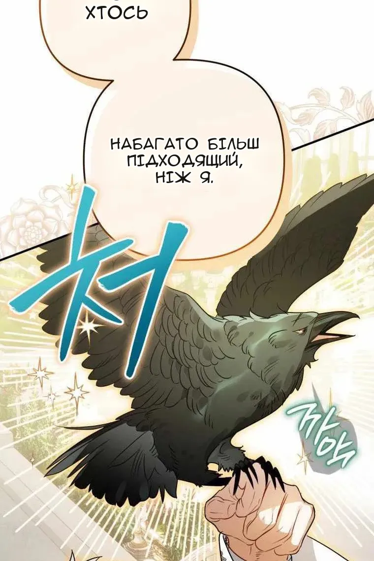 Сторінка 29