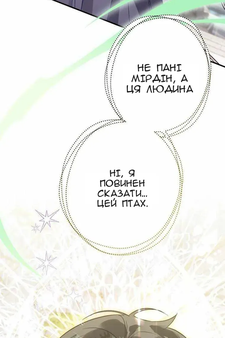 Сторінка 39