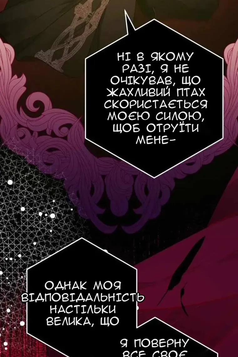 Сторінка 111