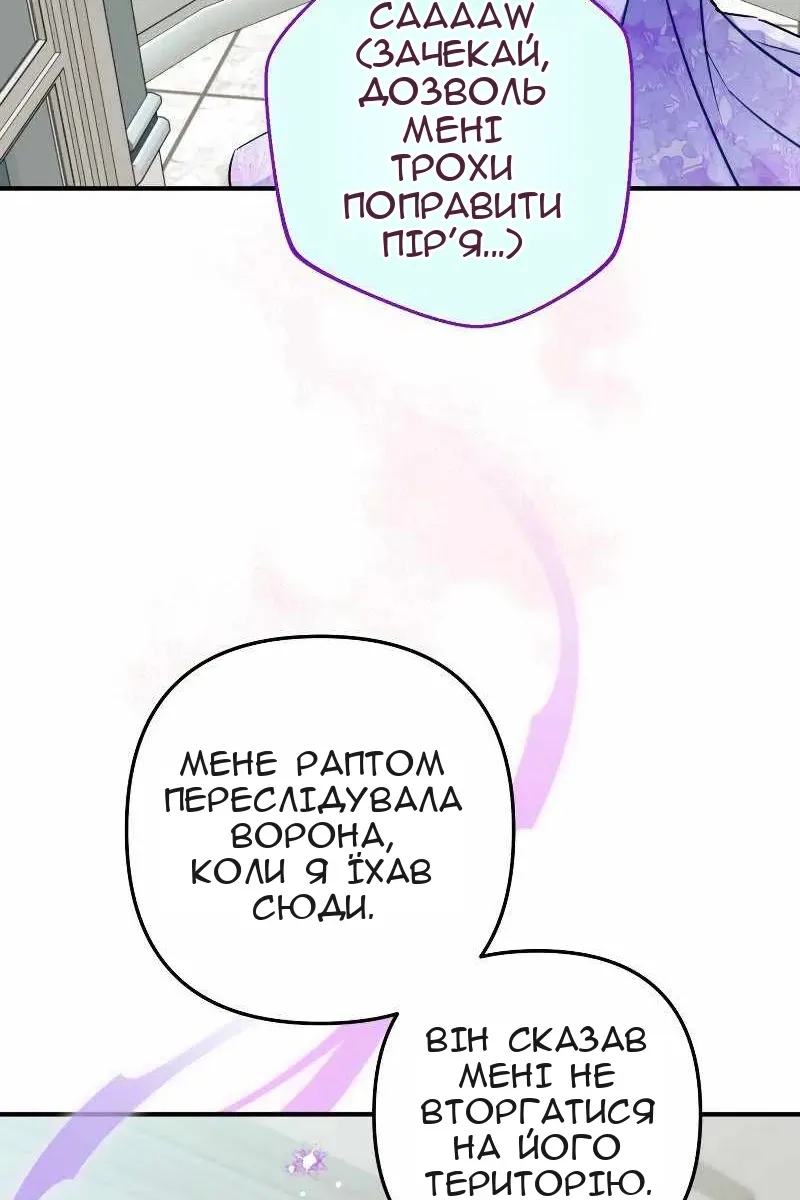Сторінка 24