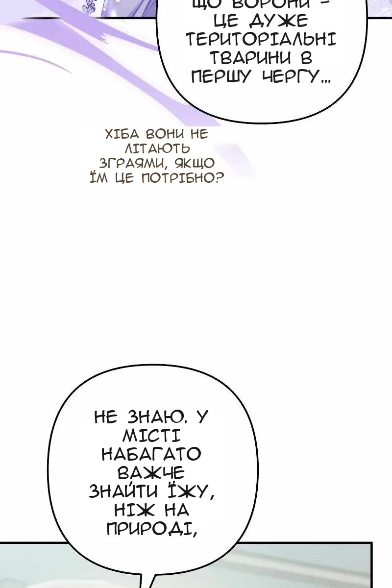Сторінка 26