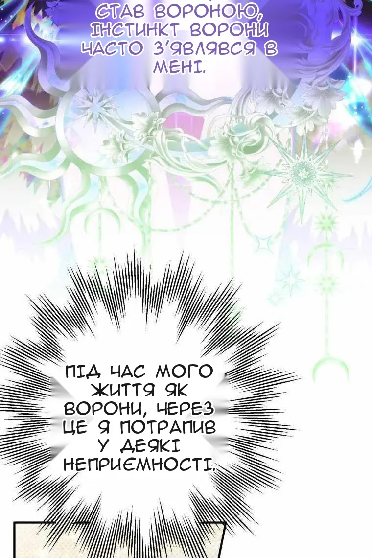 Сторінка 5