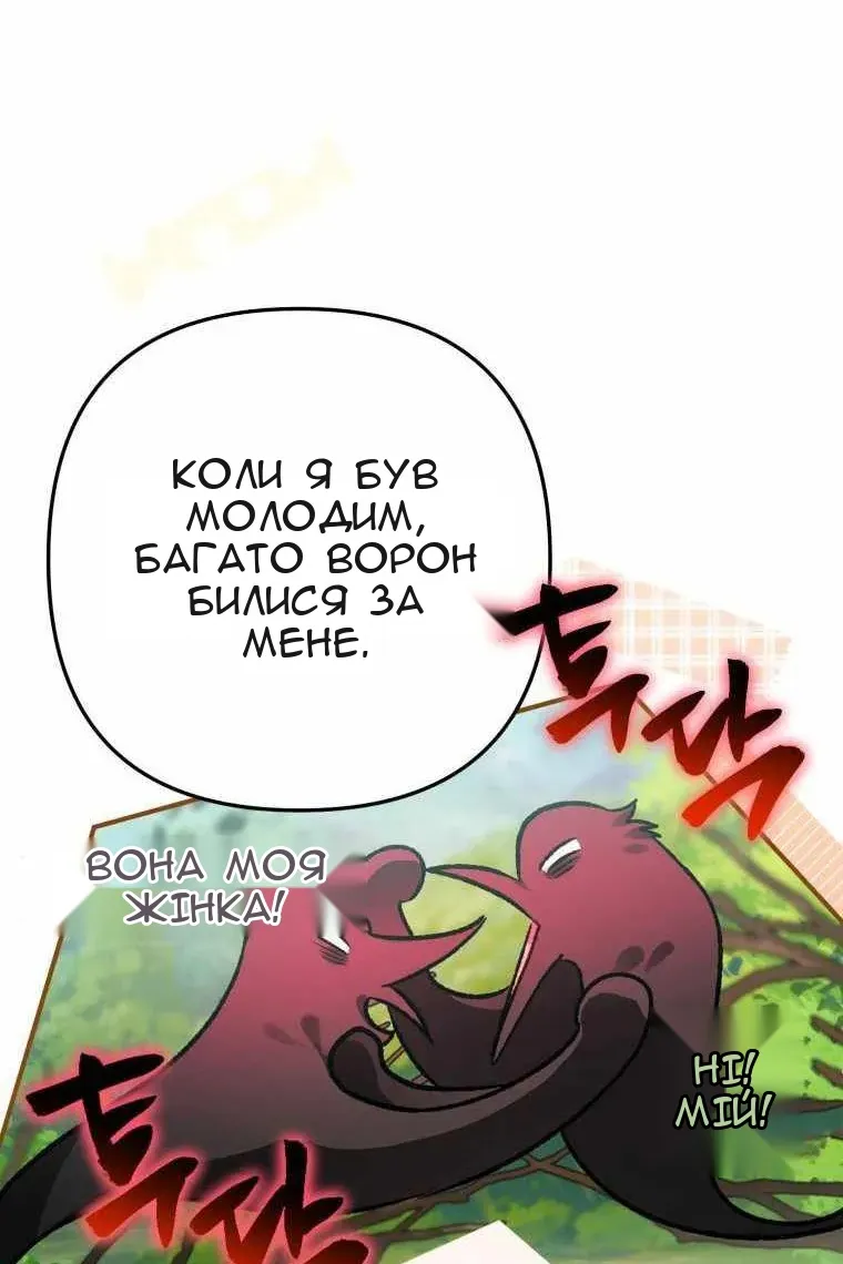 Сторінка 46
