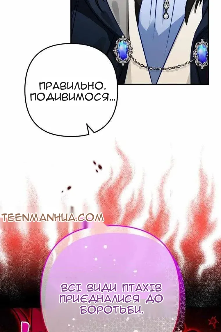 Сторінка 49
