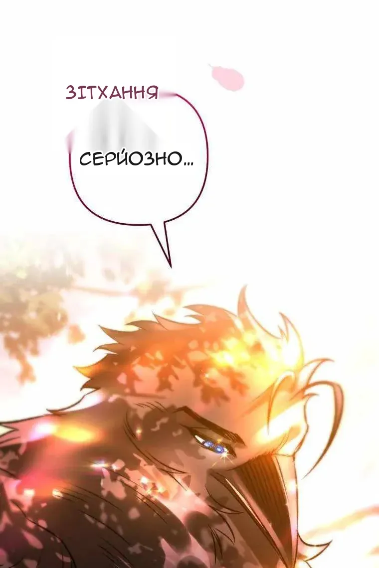 Сторінка 111