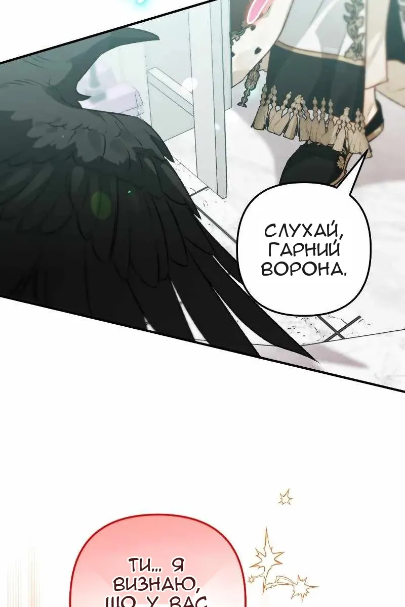 Сторінка 17