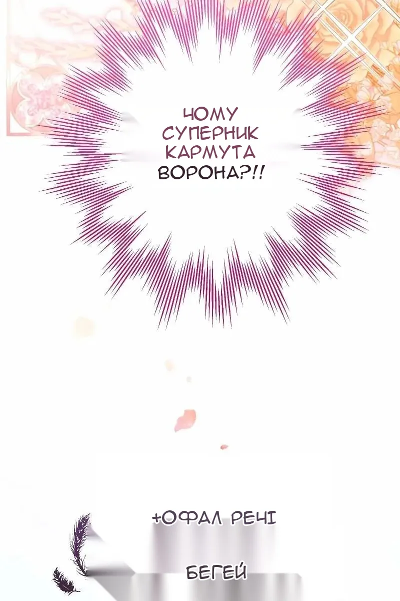 Сторінка 36