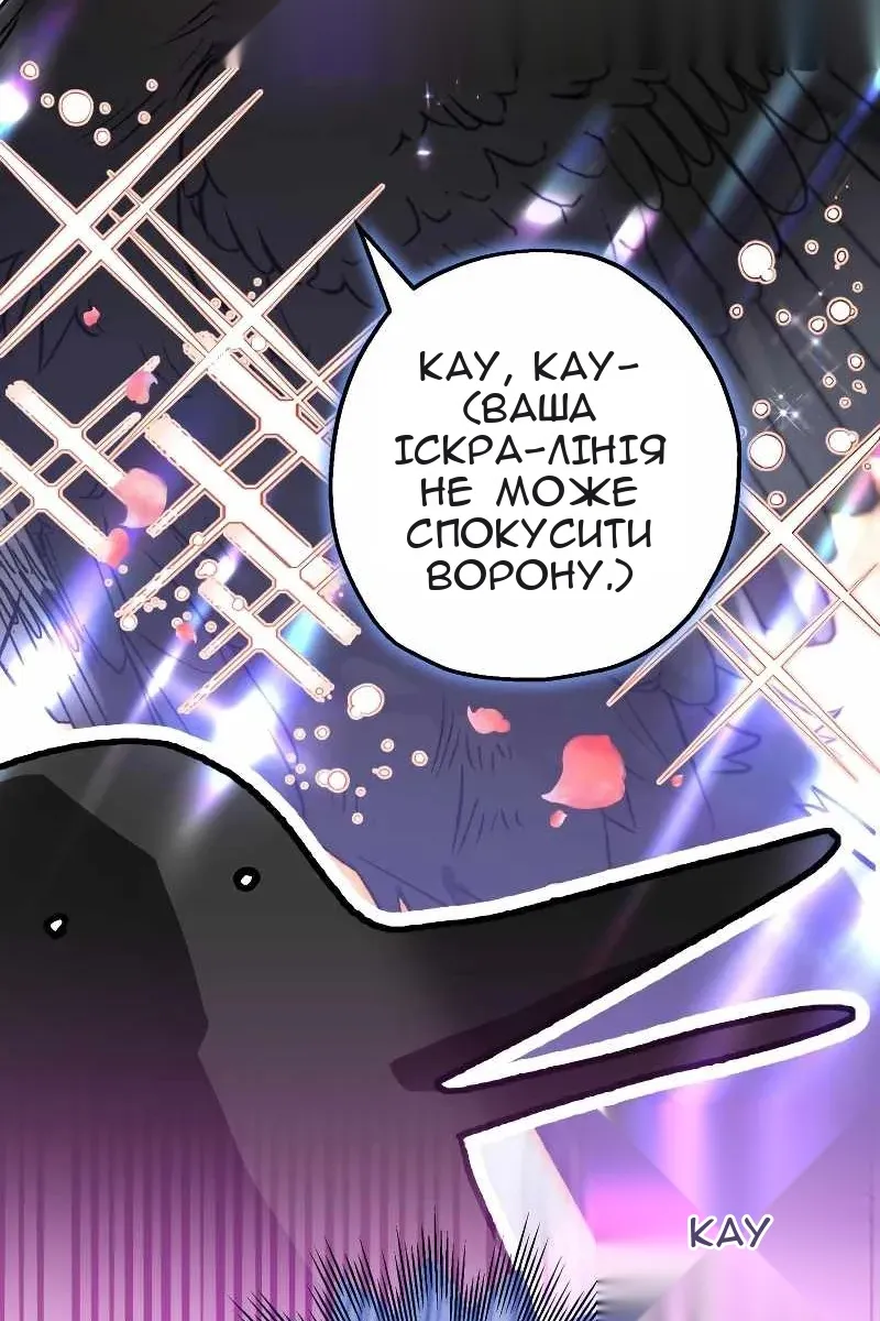 Сторінка 40