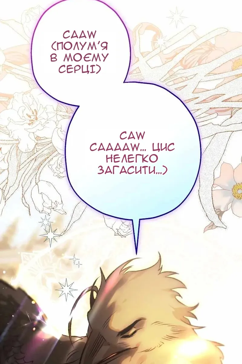 Сторінка 71