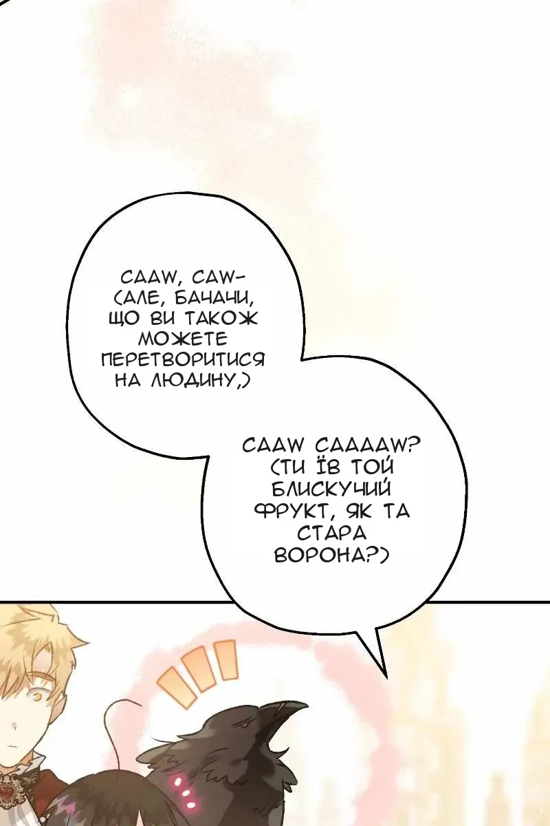 Сторінка 74