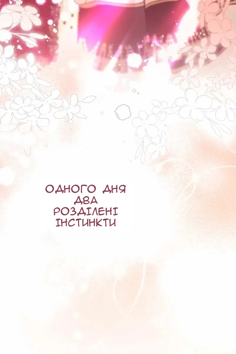 Сторінка 105
