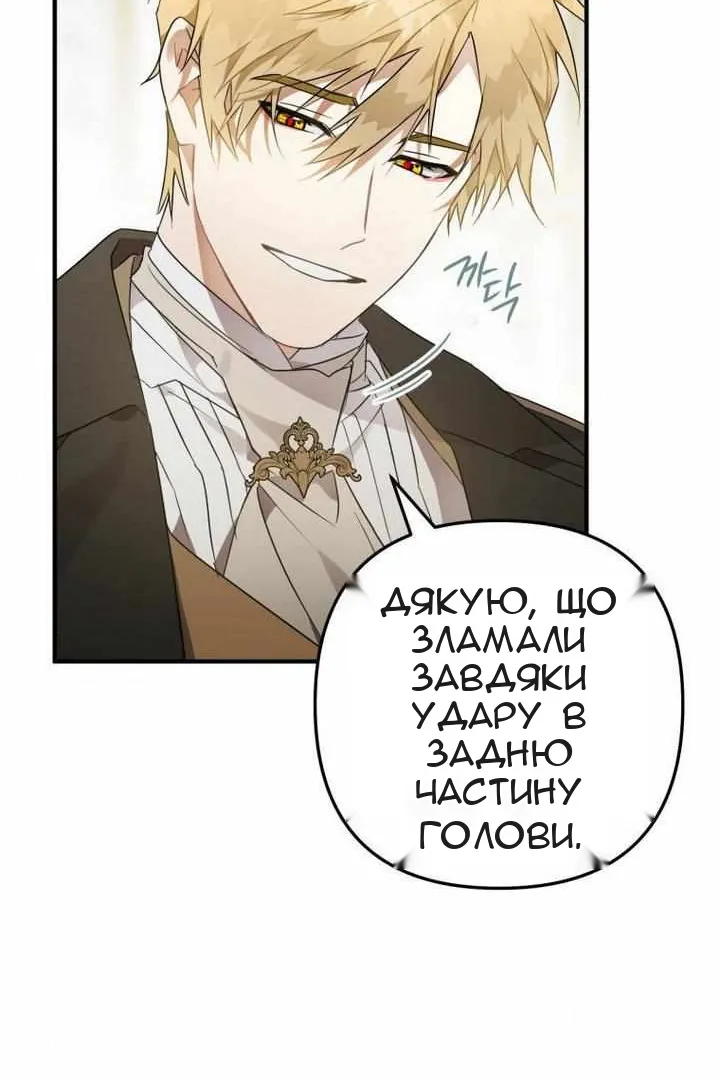 Сторінка 31