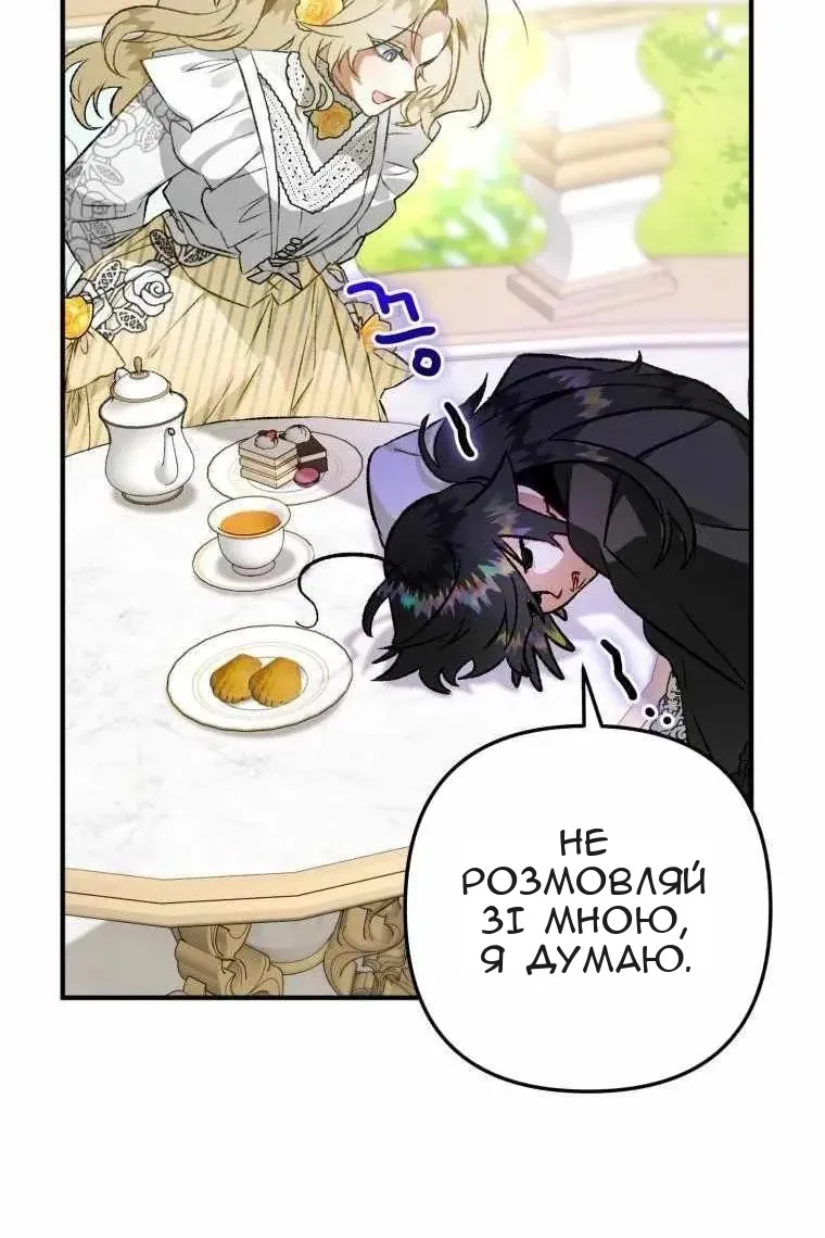 Сторінка 17