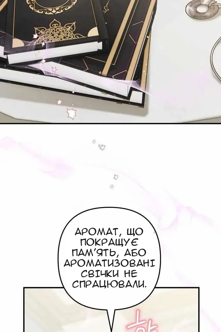 Сторінка 31