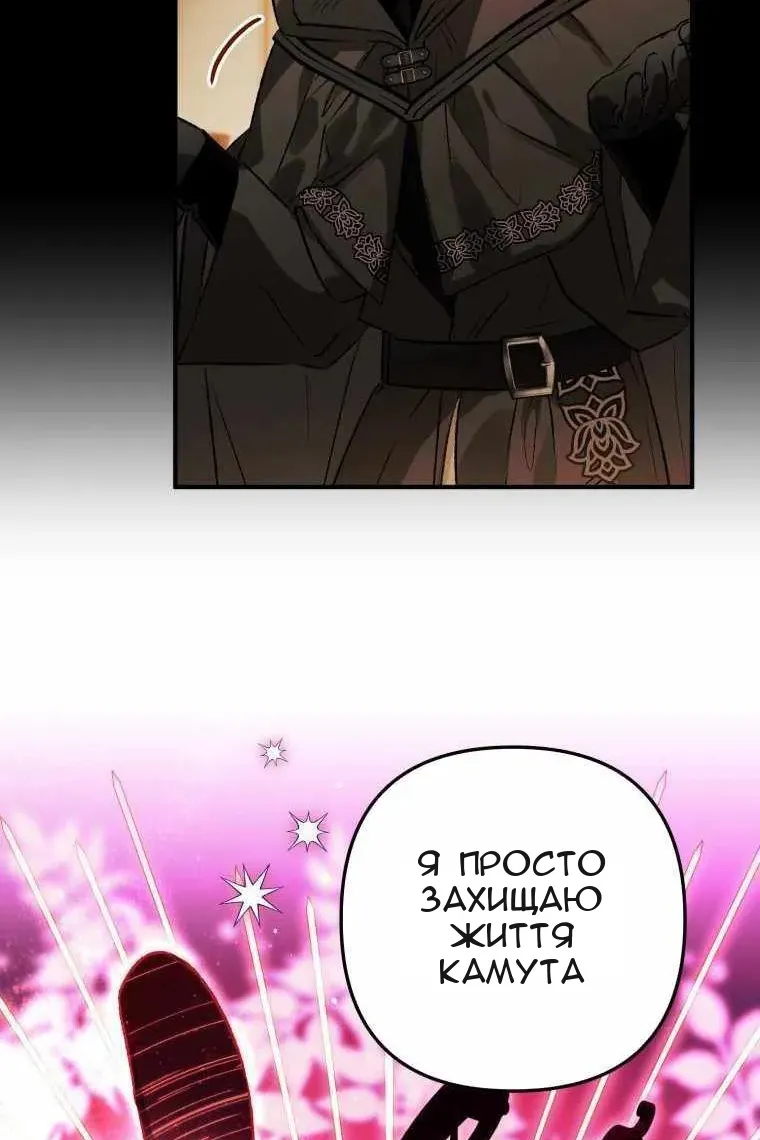 Сторінка 16