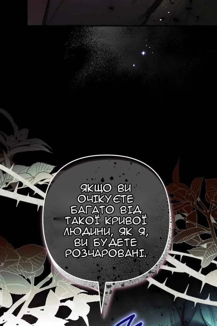 Сторінка 41