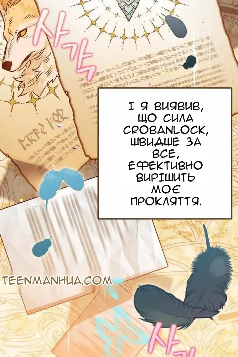 Сторінка 71