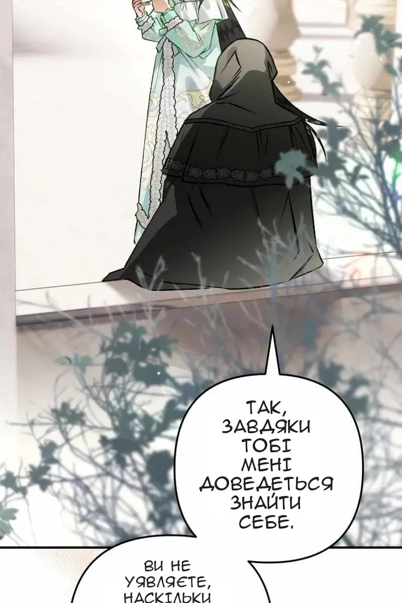 Сторінка 5