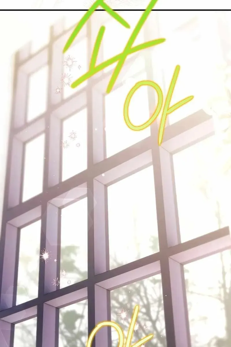 Сторінка 29