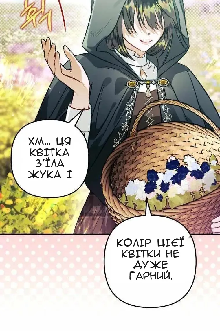 Сторінка 14