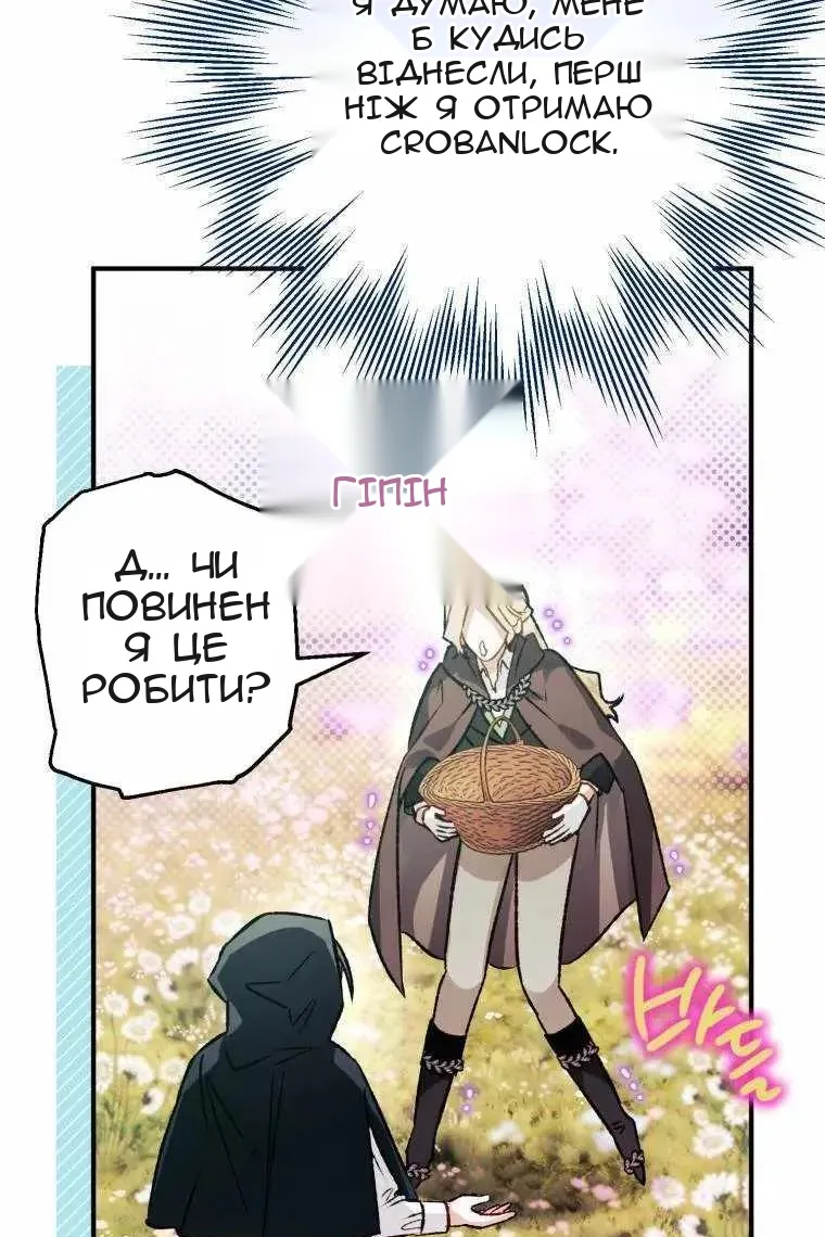 Сторінка 17