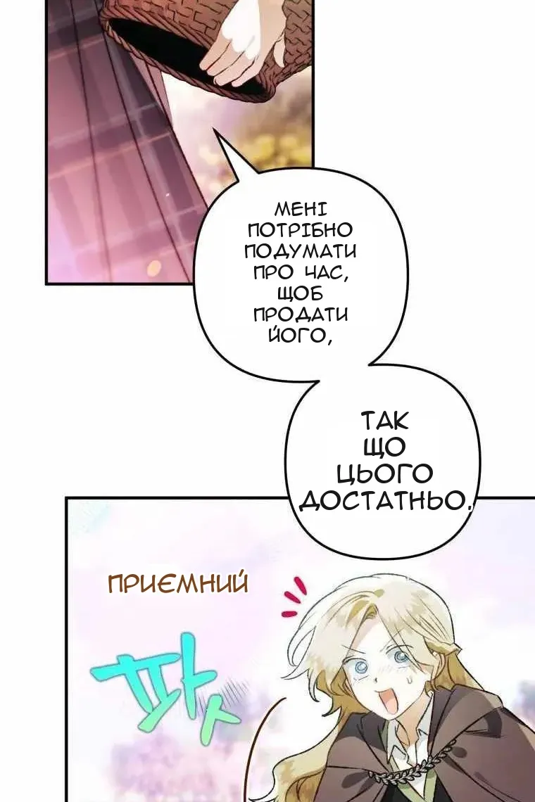 Сторінка 29