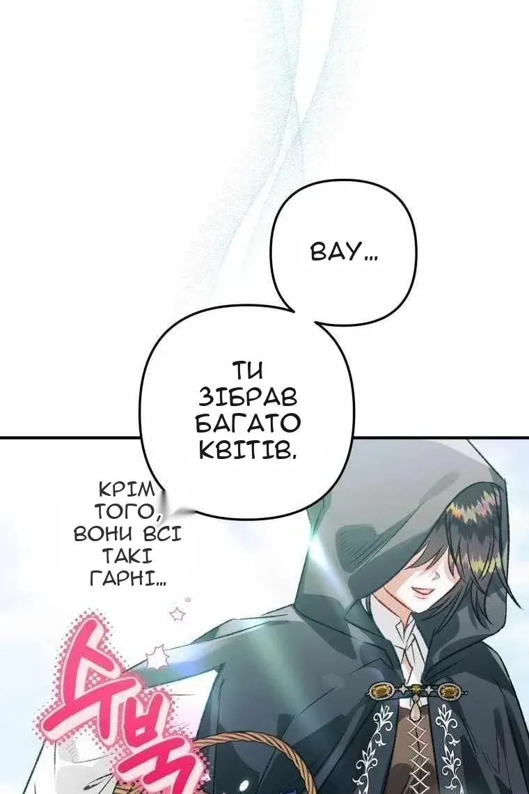 Сторінка 31