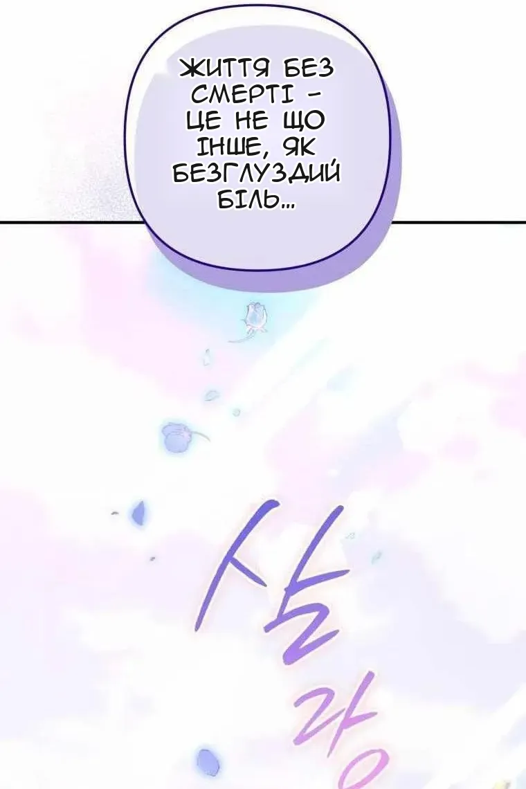 Сторінка 41