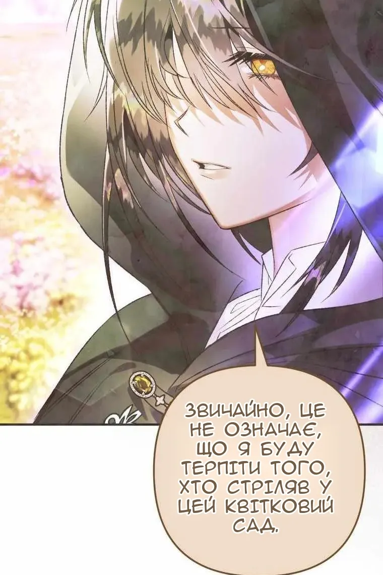Сторінка 28