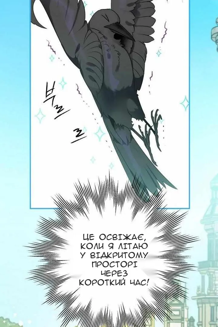 Сторінка 5