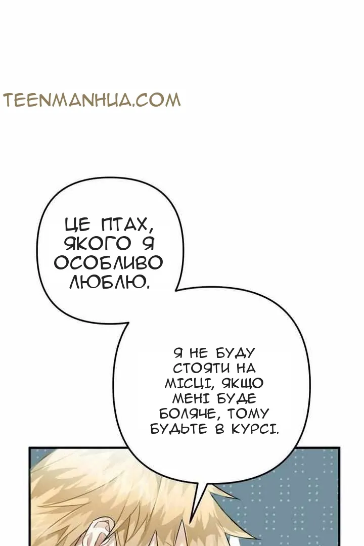 Сторінка 13