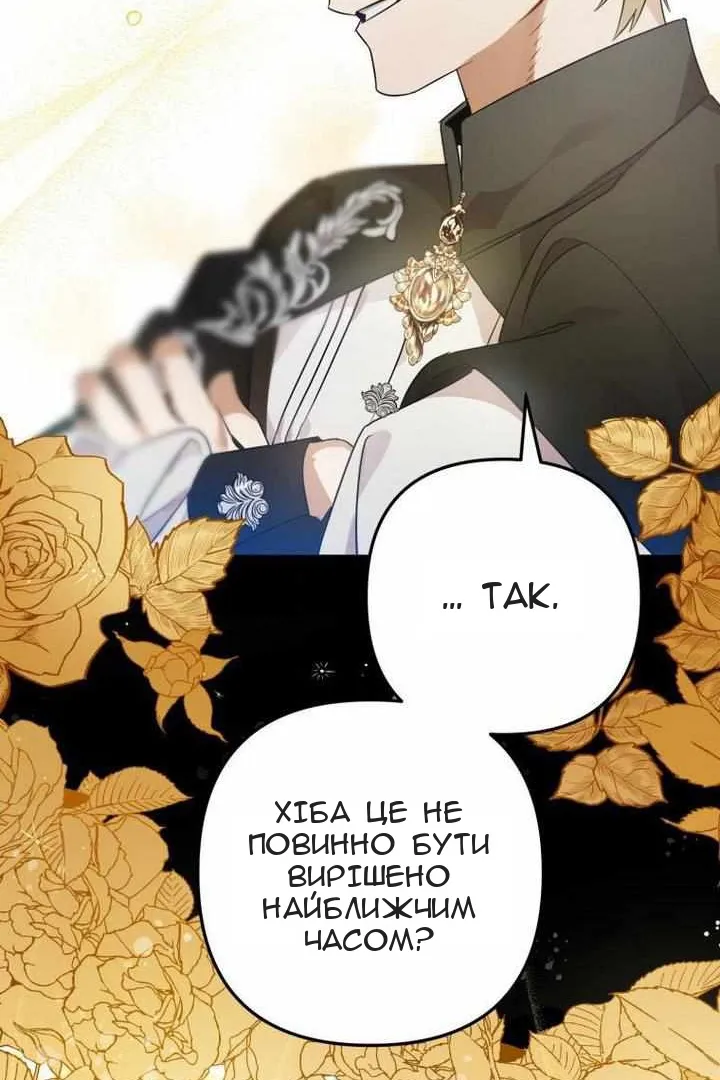 Сторінка 41