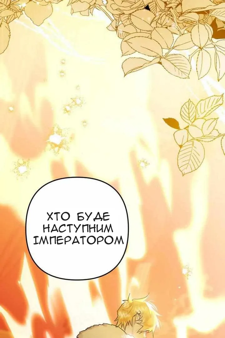 Сторінка 42