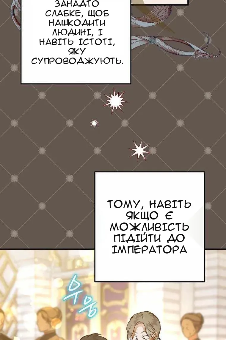 Сторінка 8