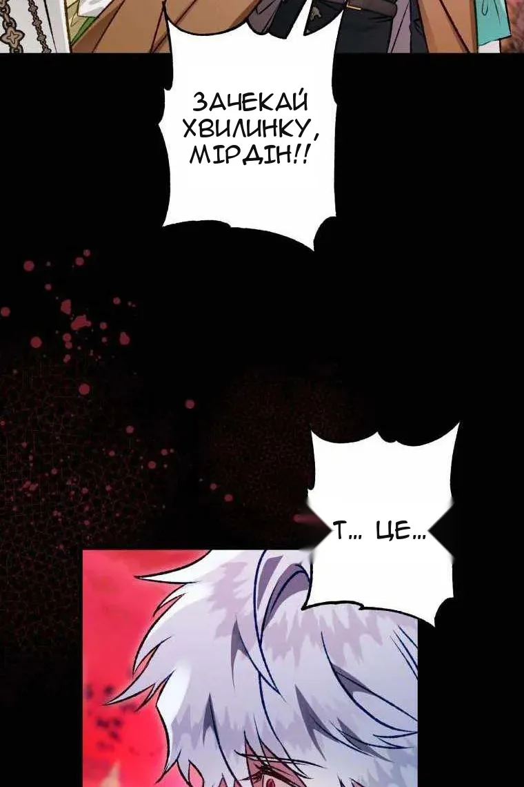 Сторінка 102