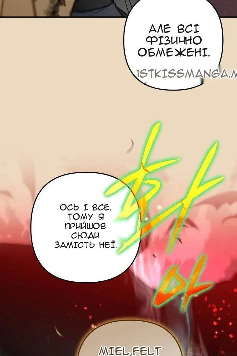 Сторінка 17