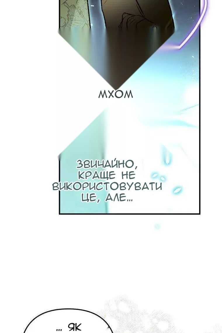 Сторінка 29